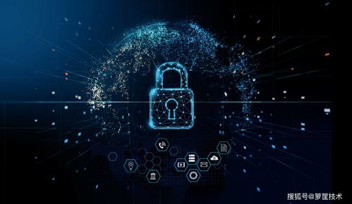 籮筐簽約黑龍江移動，助力市場與服務信息精細化管理升級